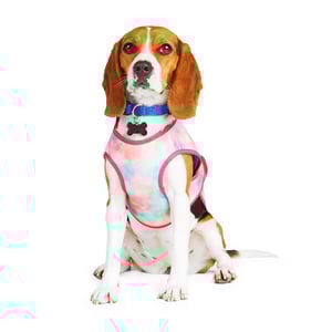 Youly Chaleco Cooling con Estampado de Acuarela para Perro, Mediano Youly Chaleco Cooling con Estampado de Acuarela para Perro, Mediano