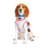 Youly Chaleco Cooling con Estampado de Acuarela para Perro, Mediano Youly Chaleco Cooling con Estampado de Acuarela para Perro, Mediano