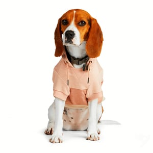 Reddy Sudadera Estilo Camo Colorblock Color Rosa para Perro, X-Chico Reddy Sudadera Estilo Camo Colorblock Color Rosa para Perro, X-Chico