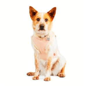 Reddy Playera Estilo Camo Color Rosa para Perro, Grande Reddy Playera Estilo Camo Color Rosa para Perro, Grande