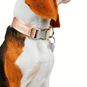 Reddy Collar Modelo Jaquard Color Rosa para Perro, Chico