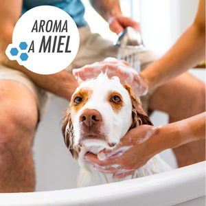 Furminator Hemp Shampoo y Acondicionador Hidratante con Aroma Miel para Perro, 473 ml