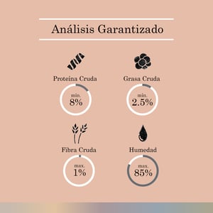 FullTrust Alimento Húmedo Receta Hígado y Chícharos para Perro Adulto, 100 g