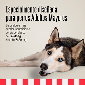 Livelong Healthy & Strong Alimento Natural Húmedo Receta Pollo para Perro Senior, 354 g