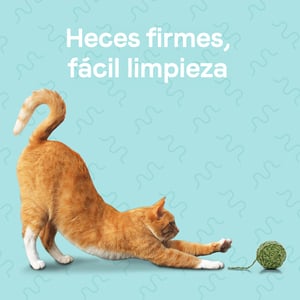 Canidae Goodness Digestion Alimento Seco Natural Salud Digestiva para Gato Adulto Receta Pollo, 4.5 kg