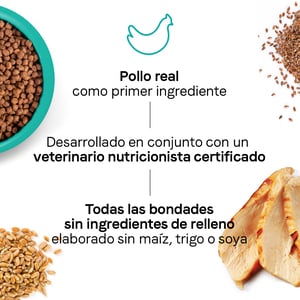 Canidae Goodness Digestion Alimento Seco Natural Salud Digestiva para Gato Adulto Receta Pollo, 4.5 kg
