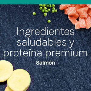 Canidae Pure Alimento Seco Natural para Gato Todas las Etapas de Vida Receta Salmón, 4.5 kg