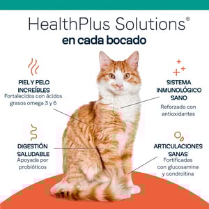 Canidae Pure Alimento Seco Natural para Gato Todas las Etapas de Vida Receta Salmón, 4.5 kg