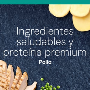 Canidae Pure Alimento Seco para Gato Todas las Etapas de Vida Receta Pollo, 4.5 kg