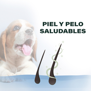 Natural Gourmet Alimento Natural Piel y Pelo Saludables para Cachorro Receta Cordero y Salmón, 7.5 kg