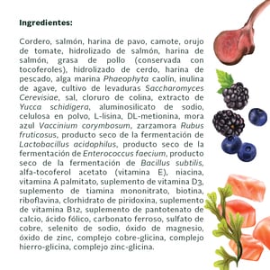 Natural Gourmet Alimento Natural Piel y Pelo Saludables para Perro Adulto Receta Cordero y Salmón, 12 kg
