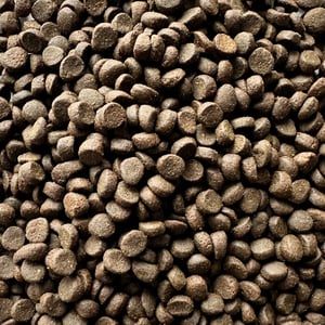 Natural Gourmet Alimento Natural Piel y Pelo Saludables para Perro Adulto Receta Cordero y Salmón, 12 kg