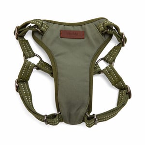 Reddy Arnés con Tratamiento Anti olores para Perro Raza Pequeña, Verde Reddy Arnés con Tratamiento Anti olores para Perro Raza Pequeña, Verde