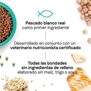 Canidae Goodness for Indoor Alimento Seco para Gato Adulto de Interior Receta Pescado Blanco, 4.5 kg