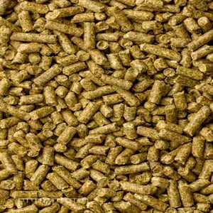 Mazuri Alimento para Chinchilla, 1.3 kg