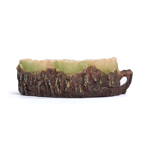 Petco Plato en Forma de Tronco de Diámetro para Reptil, 5 cm de Alto x 12.7 cm