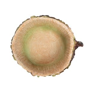 Petco Plato en Forma de Tronco de Diámetro para Reptil, 5 cm de Alto x 12.7 cm