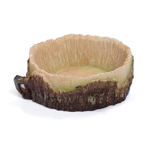 Petco Plato en Forma de Tronco de Diámetro para Reptil, 5 cm de Alto x 12.7 cm Petco Plato en Forma de Tronco de Diámetro para Reptil, 5 cm de Alto x 12.7 cm