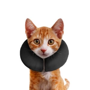 ZenPet ZenCollar Collar Isabelino Inflable para Perro y Gato, X-Chico ZenPet ZenCollar Collar Isabelino Inflable para Perro y Gato, X-Chico