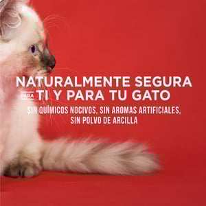 World's Best Unscented Arena Natural Aglutinante Sin Fragancia para Hogares Multigato, 6.8 kg