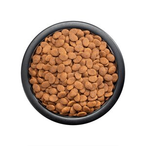 Pro Plan Sensitive Skin Optiderma Alimento para Perro Adulto Raza Mediana / Grande Receta Salmón, 3 kg