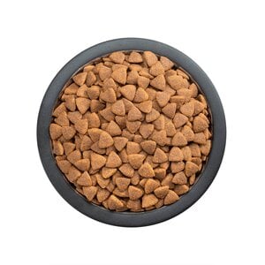 Pro Plan Optihealth Alimento Seco para Perro Adulto Raza Mediana Receta Pollo, 3 kg