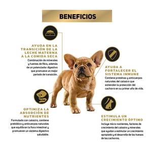 Pro Plan Puppy Optistart Alimento Seco Cachorro Raza Pequeña Receta Pollo, 1 kg