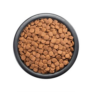 Pro Plan Active Mind Optiage Alimento Perro Senior Raza Mediana / Grande  Receta Pollo, 3 kg