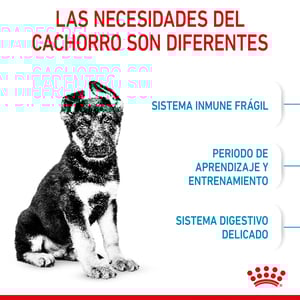 Royal Canin Alimento Seco para Cachorro Raza Grande, 13.6 kg