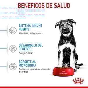 Royal Canin Alimento Seco para Cachorro Raza Grande, 13.6 kg
