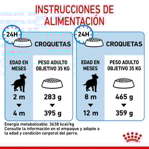 Royal Canin Alimento Seco para Cachorro Raza Grande, 13.6 kg