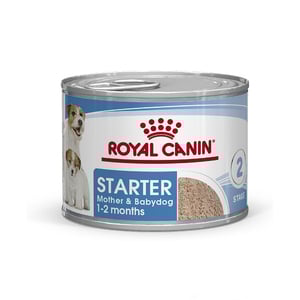 Royal Canin Starter Mother & Babydog Alimento Húmedo para Perro en Lactancia y Cachorro, 145 g Royal Canin Starter Mother & Babydog Alimento Húmedo para Perro en Lactancia y Cachorro, 145 g