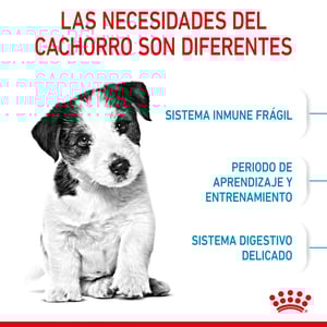 Royal Canin Alimento Seco para Cachorro Raza Pequeña Receta Pollo, 5.9 kg