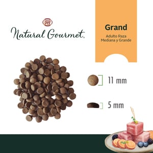 Natural Gourmet Alimento Natural para Perro Adulto Raza Mediana/Grande Receta Carne y Frutos del Bosque, 15 kg