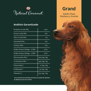 Natural Gourmet Alimento Natural para Perro Adulto Raza Mediana/Grande Receta Carne y Frutos del Bosque, 15 kg