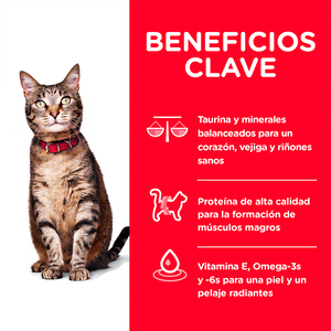 Hill's Science Diet Adult Alimento Seco para Gato Adulto Receta Pollo, 7.3 kg