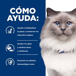 Hill's Prescription Diet r/d Weight Loss Alimento Seco Reducción de Peso para Gato Adulto, 3.7 kg