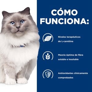 Hill's Prescription Diet r/d Weight Loss Alimento Seco Reducción de Peso para Gato Adulto, 3.7 kg