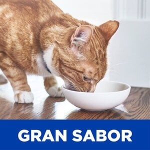 Hill's Prescription Diet r/d Weight Loss Alimento Seco Reducción de Peso para Gato Adulto, 3.7 kg