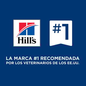 Hill's Prescription Diet k/d Alimento Húmedo Cuidado Renal para Gato Adulto, 156 g