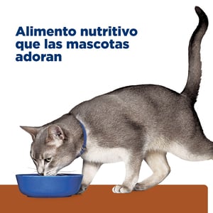 Hill's Prescription Diet k/d Alimento Húmedo Cuidado Renal para Gato Adulto, 156 g