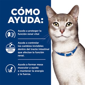 Hill's Prescription Diet k/d Alimento Húmedo Cuidado Renal para Gato Adulto, 156 g