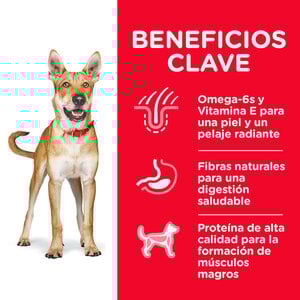 Hill's Science Diet Alimento Seco para Perro Adulto Raza Mediana Receta Pollo, 15 kg