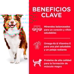 Hill's Science Diet 7+ Alimento Seco para Perro Senior Raza Mediana Receta Pollo, 12 kg