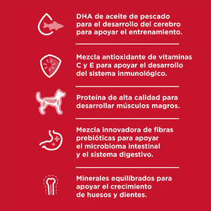 Hill's Science Diet Puppy Small Bites Alimento para Cachorro Raza Pequeña Receta Pollo, 5.6 kg