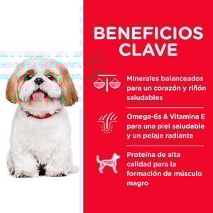 Hill's Science Diet 7+ Small Bites Alimento para Perro Senior Raza Pequeña, 6.8 kg