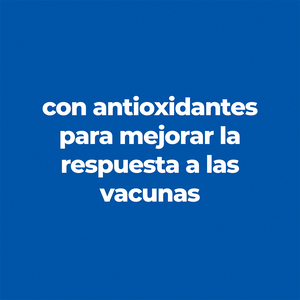 Hill's Science Diet Kitten Alimento Seco para Gatito Receta Pollo, 1.6 kg