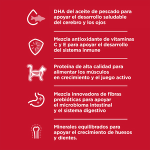 Hill's Science Diet Kitten Alimento Seco para Gatito Receta Pollo, 1.6 kg