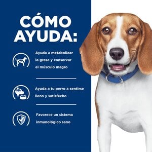 Hill's Prescription Diet r/d Alimento Seco Reducción de Peso para Perro Adulto, 12.5 kg