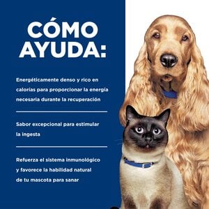 Hill's Prescription Diet a/d Alimento Húmedo de Recuperación para Perro y Gato, 156 g